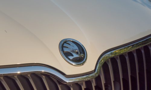 Berlin, Germany - May 5, 2018: Skoda car emblem. Skoda is a Czech automobile manufacturer founded in 1895, in 2000 became a wholly owned subsidiary of the Volkswagen Group